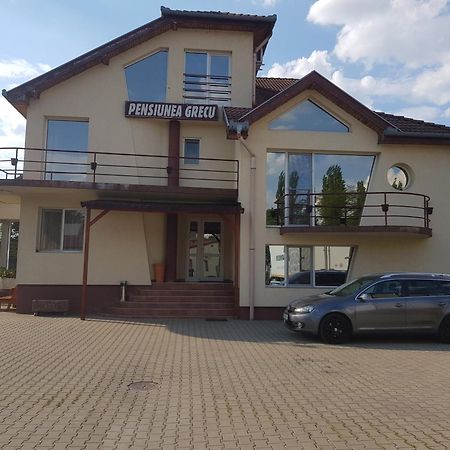 Pensiunea Grecu Lugoj Exterior foto